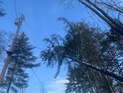 Vermont Electric saw about 13,790 meters out of about 41,000 at the height of the storm, and had to address about 293 discrete outage events and deploy some 122 field crews. Vermont Electric saw about 13,790 meters out of about 41,000 at the height of the storm, and had to address about 293 discrete outage events and deploy some 122 field crews.