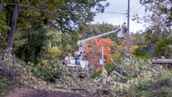 Dreamstime M 163130855 63fd0ea8cd1d0 Dreamstime M 163130855 63fd0ea8cd1d0