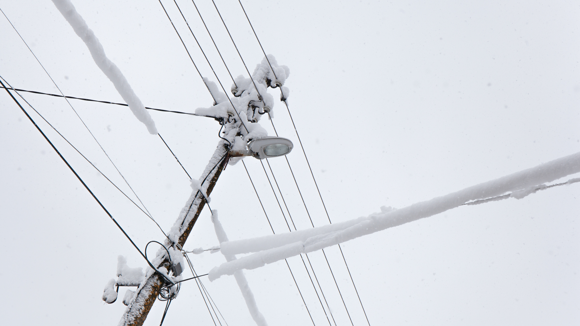 Dreamstime M 50650381 63f4f35024145