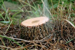 For basal cut-stump treatments, spray all sides and exposed roots until thoroughly wet, but not to the point of runoff. For basal cut-stump treatments, spray all sides and exposed roots until thoroughly wet, but not to the point of runoff.