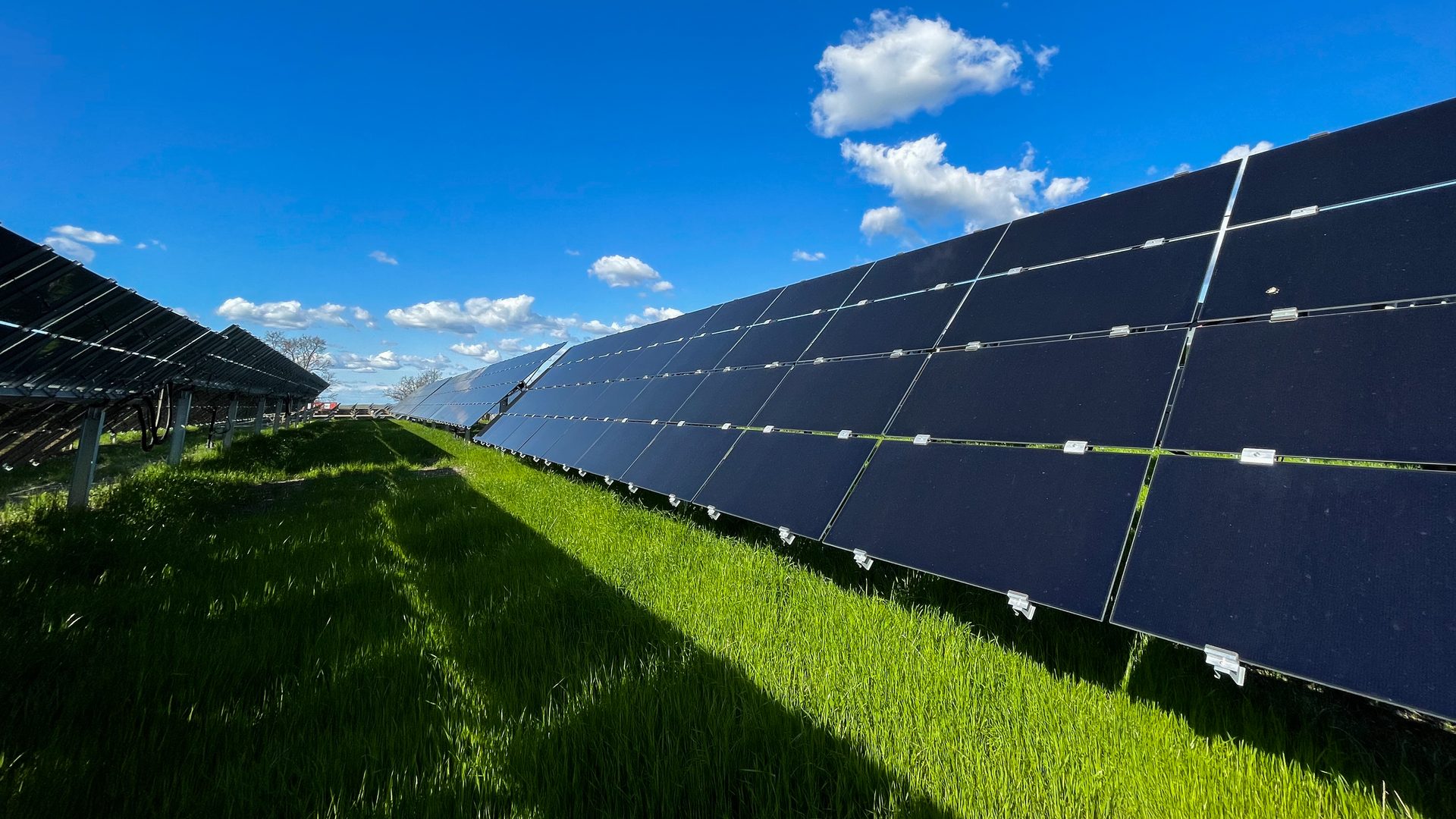 The team is conducting a four-year study to restore approximately 20 acres of California prairie under photovoltaic solar panels.