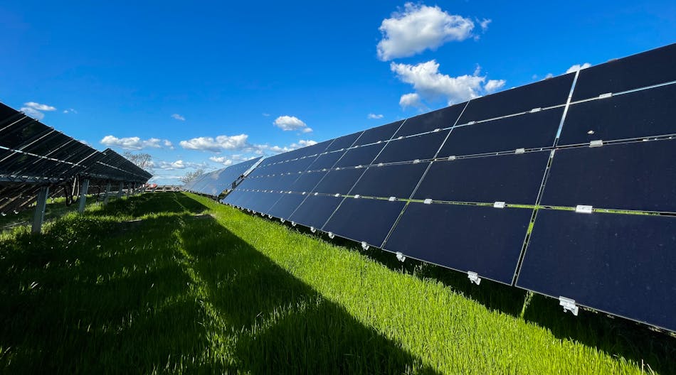 The team is conducting a four-year study to restore approximately 20 acres of California prairie under photovoltaic solar panels.