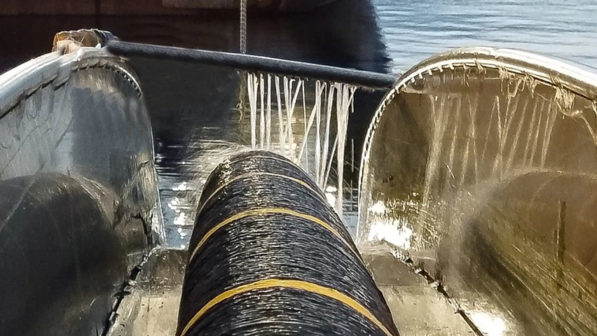 Nkt Order Win 2023 64077580391e6