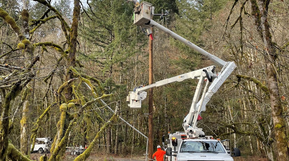 Utility workers install a new pole in a forested area of the PGE service territory.