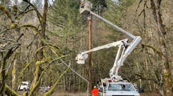 Utility workers install a new pole in a forested area of the PGE service territory.