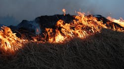 In early America, fire was a tool that promoted ecological diversity and reduced the risk of catastrophic wildfires. In early America, fire was a tool that promoted ecological diversity and reduced the risk of catastrophic wildfires.