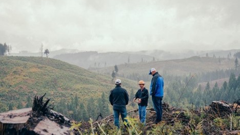 Conducting regular inspections is an effective way for vegetation managers to prioritize treatment sites from one year to the next.