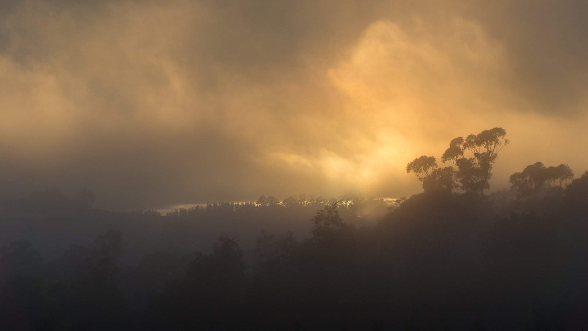 Dreamstime M 165536587 640f63281c408