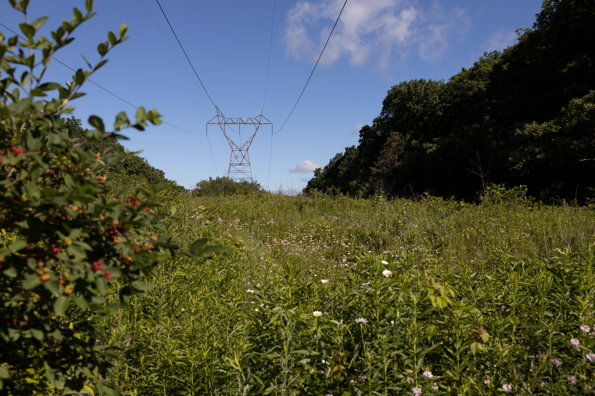 3 O8 A4386 6418a3300ee07