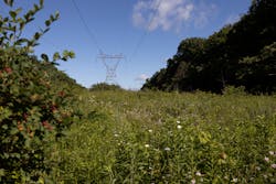 3 O8 A4386 6418a3300ee07 3 O8 A4386 6418a3300ee07