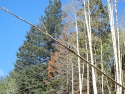 PNMR’s new system reports hazards as they are found. This could include an obvious hazard like a tree contacting a power line, or a less obvious threat. Photo by PNM Resources. PNMR’s new system reports hazards as they are found. This could include an obvious hazard like a tree contacting a power line, or a less obvious threat. Photo by PNM Resources.