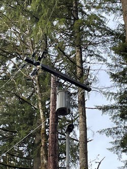 A power pole equipped with a new conductor, X-arm and cutouts. A power pole equipped with a new conductor, X-arm and cutouts.