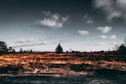 Many Indigenous communities and tribes use traditional cultural burning practices with TEK to cultivate their lands. Many Indigenous communities and tribes use traditional cultural burning practices with TEK to cultivate their lands.