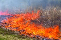 From dry conditions and high temperatures to rough terrain and varying densities of incompatible plant species, vegetation managers face numerous challenges as they work to prevent trees and other woody plants from causing wildfires and lapses in electrical service.