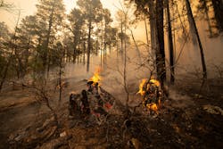 During wildfire season, if tall vegetation is not removed, low vegetation can ignite the taller vegetation, forming fuel ladders that bring flames closer to the taller trees and overhead power lines. During wildfire season, if tall vegetation is not removed, low vegetation can ignite the taller vegetation, forming fuel ladders that bring flames closer to the taller trees and overhead power lines.