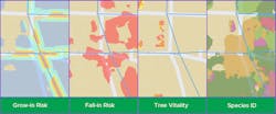 Screen captures from the app in the actual Area of Interest show four vegetation layers in LiveEO&apos;s Vegetation Management Insights program.