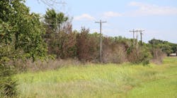 Chemical side-trim applications help OG&amp;E control incompatible trees and brush species without causing harm to desirable vegetation, including beneficial grasses and forbs.