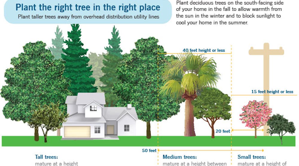 In Copy Right Tree Right Place Graphic Fl