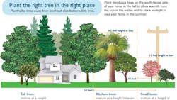 In Copy Right Tree Right Place Graphic Fl 64430163beee2 In Copy Right Tree Right Place Graphic Fl 64430163beee2