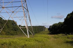 Native grasses and beneficial forbs impede the reestablishment of incompatible trees and brush species throughout utility rights-of-way. Native grasses and beneficial forbs impede the reestablishment of incompatible trees and brush species throughout utility rights-of-way.