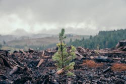 Dsc04325 643eab738250b Dsc04325 643eab738250b