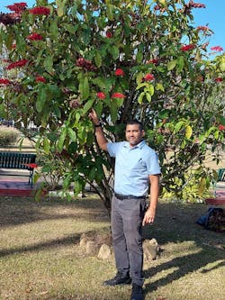 Yohann Govia of Trinidad and Tobago&rsquo;s Ministry of Agriculture Land and Fisheries, points to an endemic double (Warszewiczia Coccinea) Chaconia tree, the national tree of Trinidad and Tobago, that is biomechanically suited for urban environments.