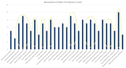 Attaching a biomechanical stability score to tropical trees, coupled with structural integrity and tree inherent assets, can pinpoint the species that may impart more tolerance to loading. Attaching a biomechanical stability score to tropical trees, coupled with structural integrity and tree inherent assets, can pinpoint the species that may impart more tolerance to loading.