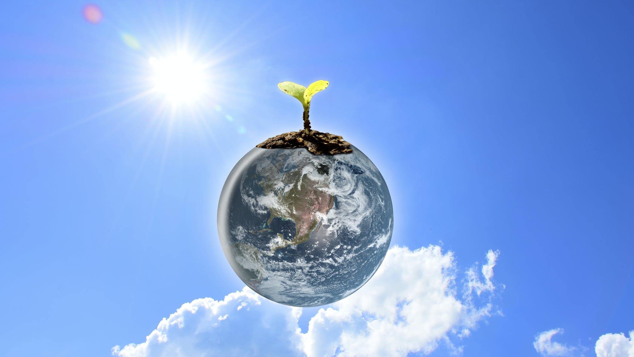 Taking the steps to ensure your utility is moving in the best-in-breed direction, you also are helping to save the environment one tree at a time.