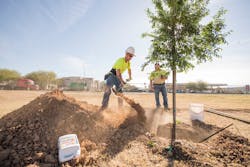 SRP also conducts vegetation management activities in residential areas as part of its Right Tree Right Place program. SRP also conducts vegetation management activities in residential areas as part of its Right Tree Right Place program.