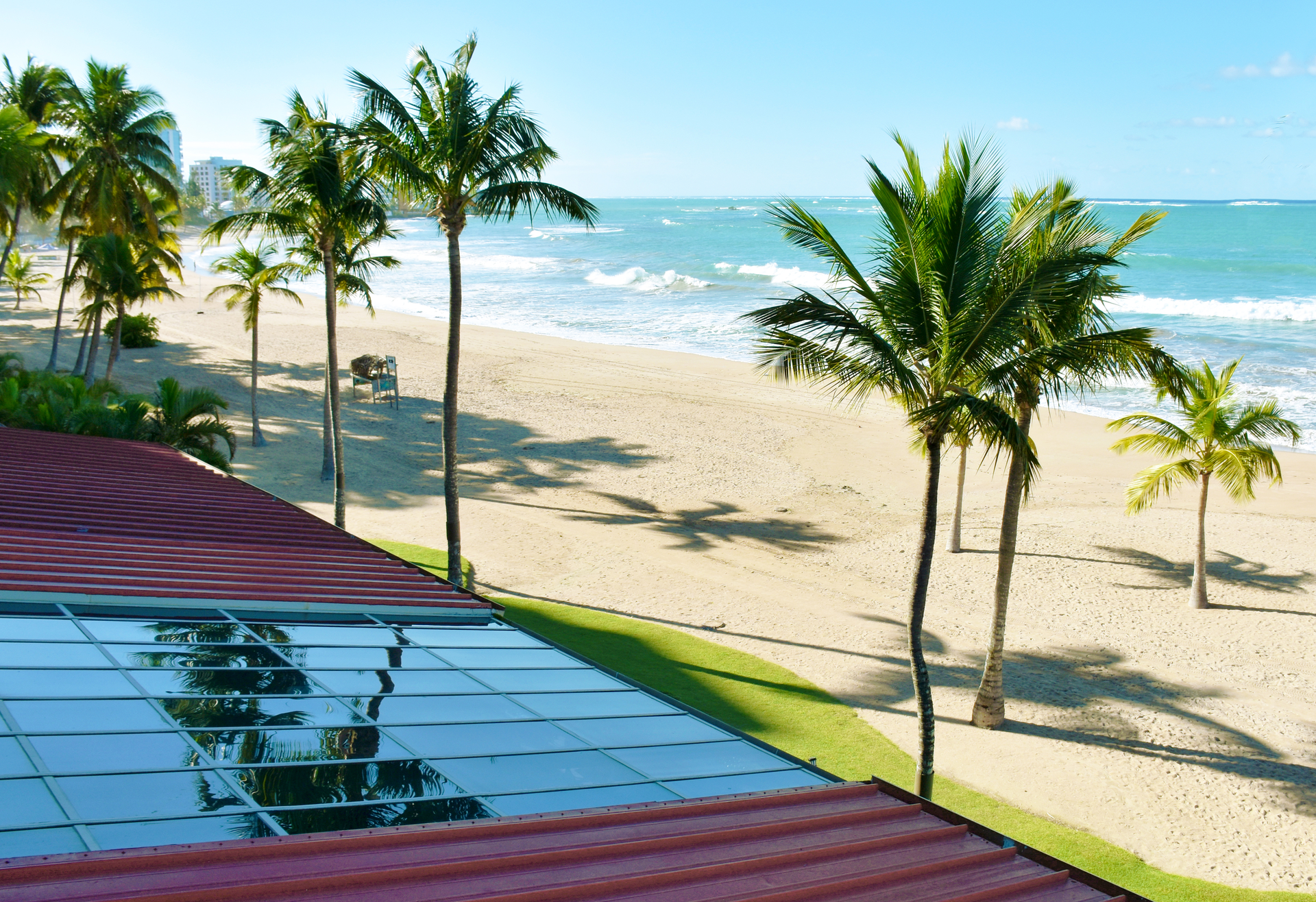 Rzyotova Dreamstime 6446eae27ce2c