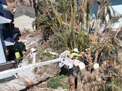 A Lewis crew works to remove trees from power lines after Hurricane Ian. A Lewis crew works to remove trees from power lines after Hurricane Ian.