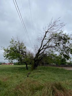Low-volume spray trim applications in the wire zone allow OG&E to control only portions of trees that pose a threat to impact overhead powerlines. Low-volume spray trim applications in the wire zone allow OG&E to control only portions of trees that pose a threat to impact overhead powerlines.