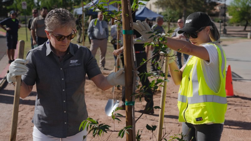 800 Lsp02759 645132954d29d