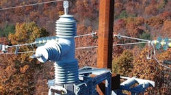 Dji 0392 Copy Dji 0392 Copy