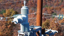 Dji 0392 Copy 64711caa9fd4b Dji 0392 Copy 64711caa9fd4b