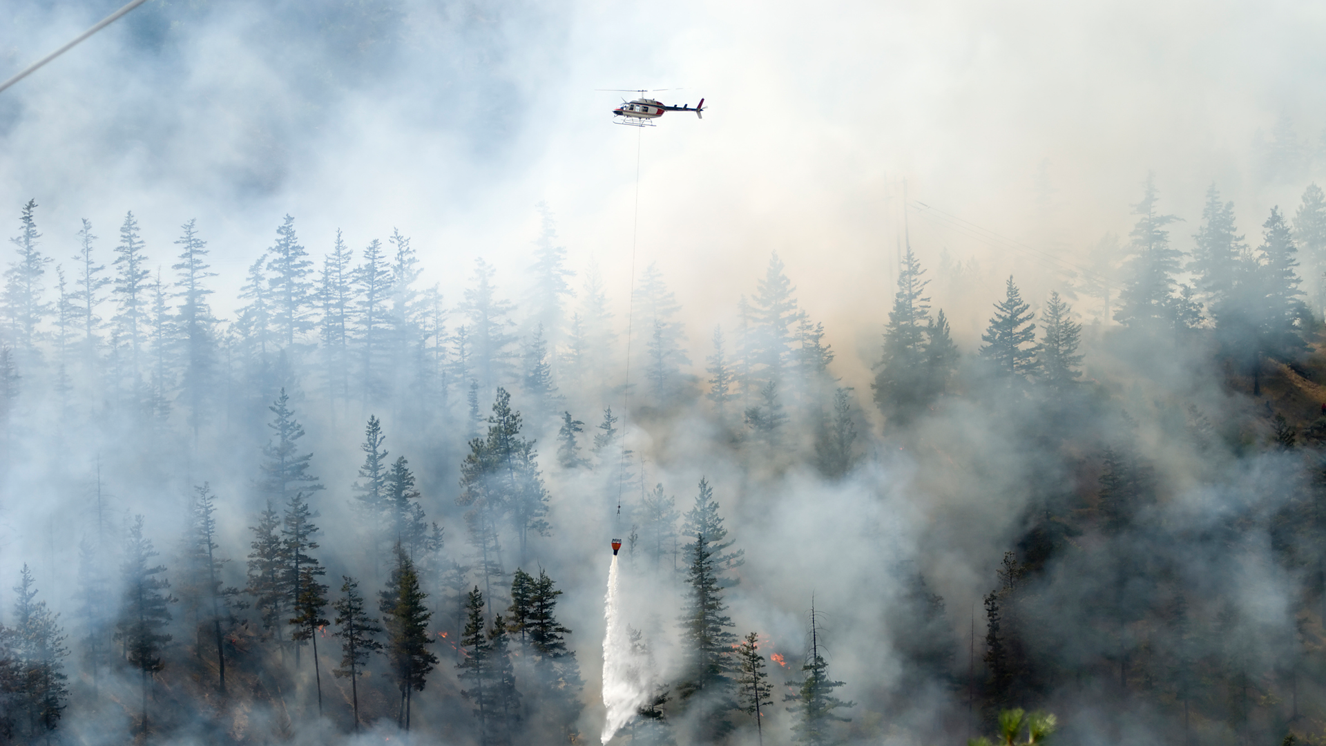 Getty Images 172327589 64640b21280e8