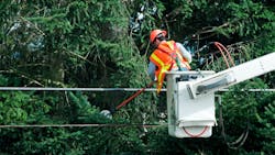 Getty Images 175262191 64557609dc43d Getty Images 175262191 64557609dc43d