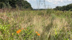 Img 2345 64418b4b49026 6464038e811ce Img 2345 64418b4b49026 6464038e811ce