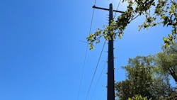 Storm Strong Pole Ca1 646e289871bb5 Storm Strong Pole Ca1 646e289871bb5