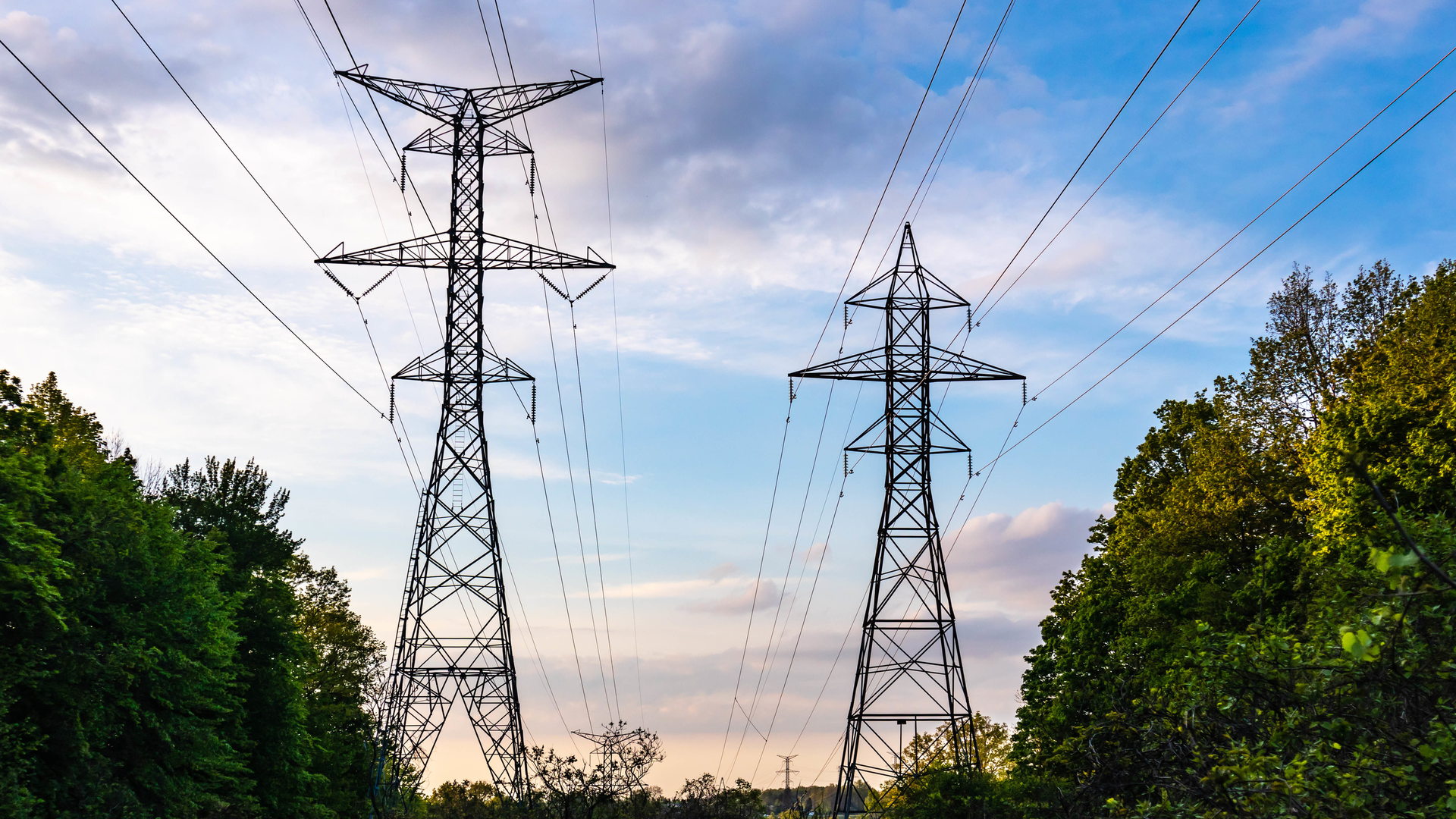 Dreamstime L 208599632 64555011e8e7a