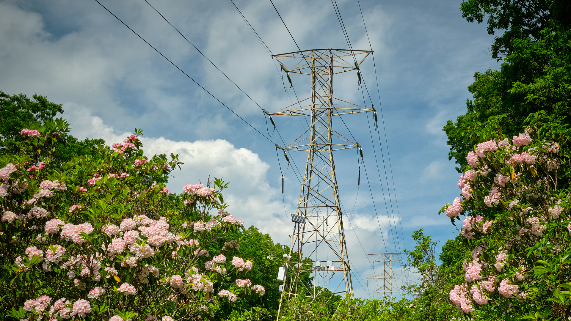 Dreamstime L 249873447 645551541a43b