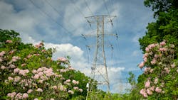 Dreamstime L 249873447 645551541a43b Dreamstime L 249873447 645551541a43b