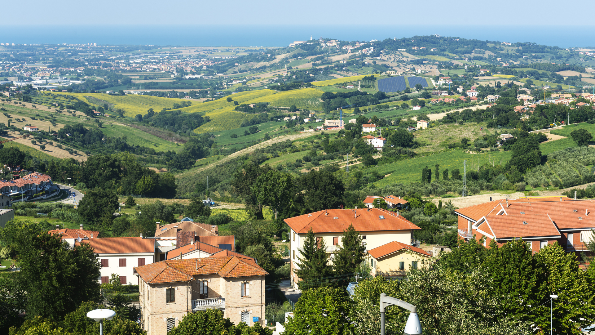 Dreamstime M 47164106 64528193da06e