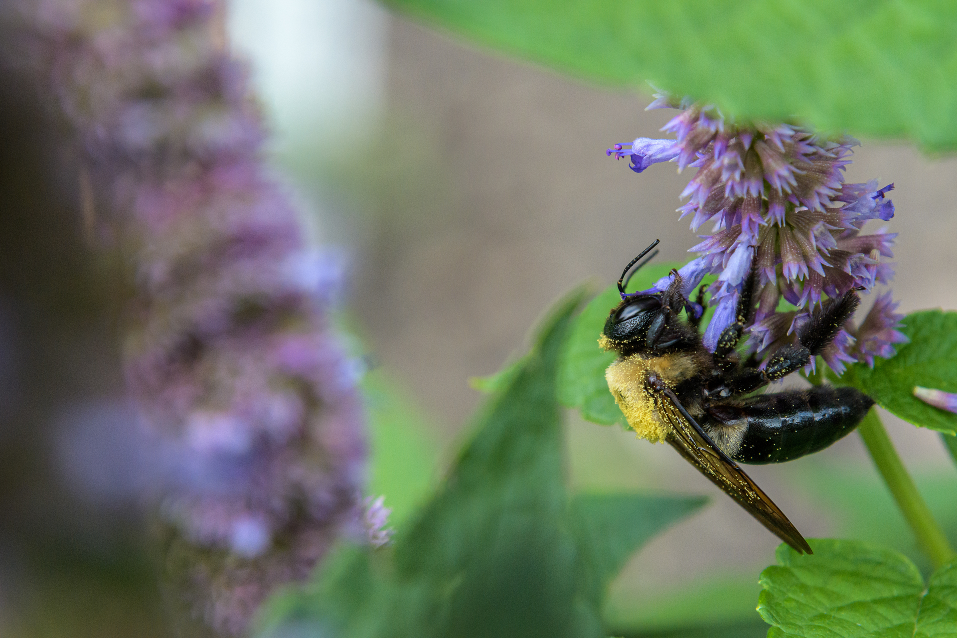 Corteva Br Aug2020 8 646fbe6433e95