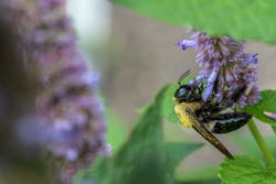 Corteva Br Aug2020 8 Corteva Br Aug2020 8