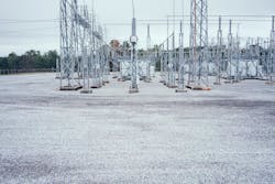 As dandelions feature strong taproots and grow in soil temperatures as low as 50 degrees Fahrenheit, they can cause or attract a variety of issues throughout utility substations. As dandelions feature strong taproots and grow in soil temperatures as low as 50 degrees Fahrenheit, they can cause or attract a variety of issues throughout utility substations.