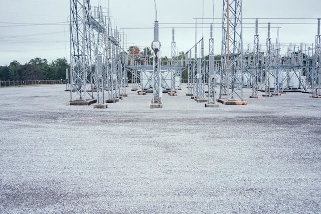 As dandelions feature strong taproots and grow in soil temperatures as low as 50 degrees Fahrenheit, they can cause or attract a variety of issues throughout utility substations.