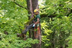 Dsc 5567 646bb01e362e2 Dsc 5567 646bb01e362e2