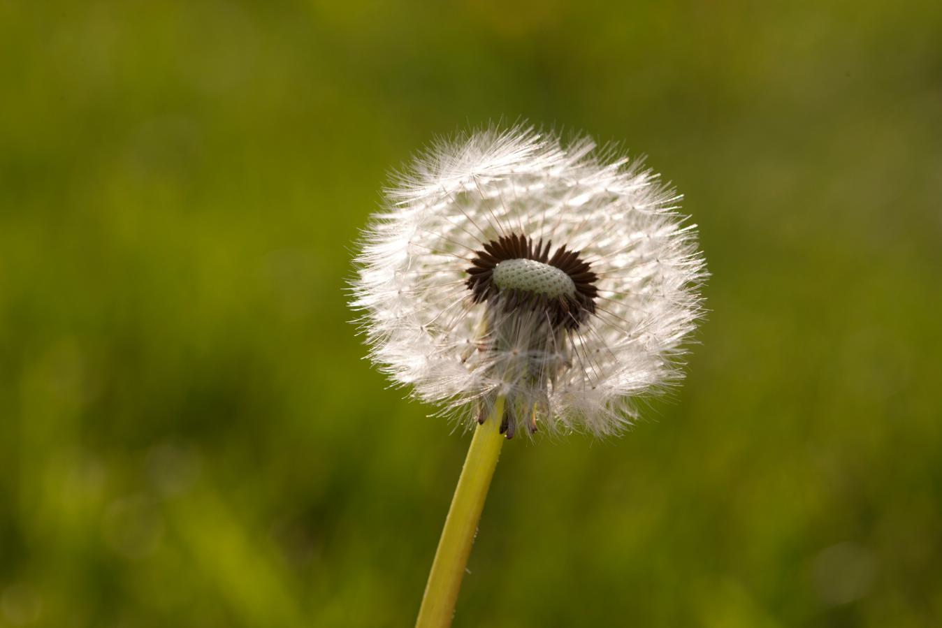 54 B9117 646e6021ae045