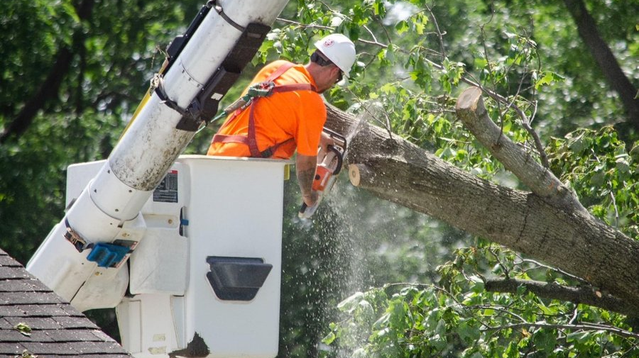 Fzp C Ezr Waa Ap Hc E 649f2733f09ec